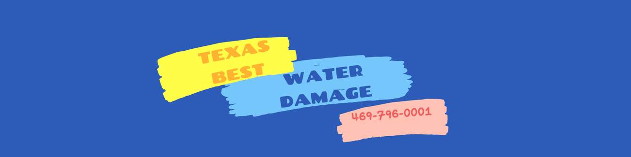 Cover photo of Texas Pro water damage